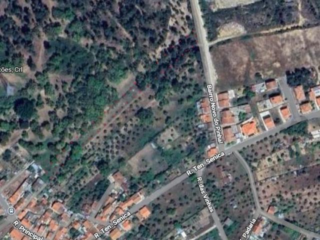 Abrantes Abrantes 99377126