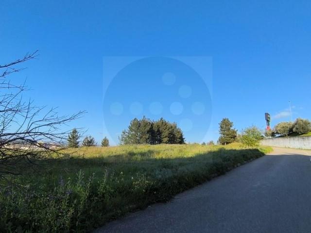 Abrantes Abrantes 102732461