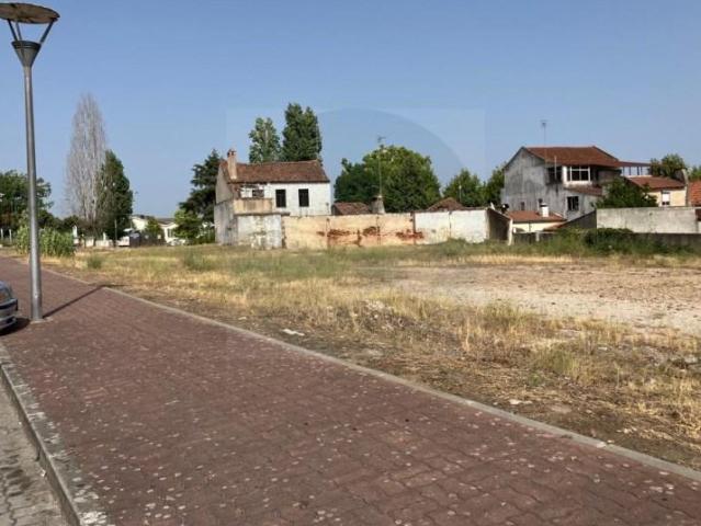 Abrantes Abrantes 104721196