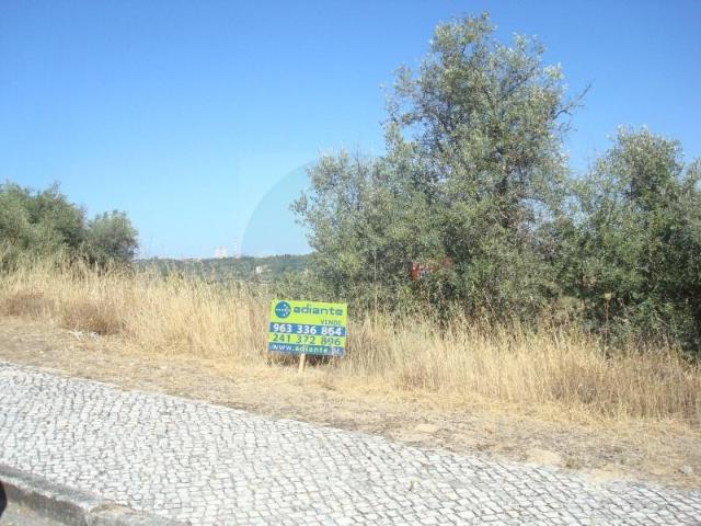 Abrantes Abrantes 104762580