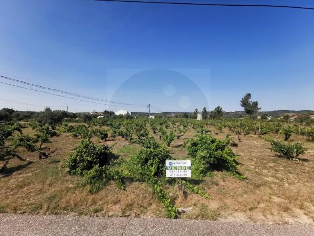 Abrantes Abrantes 104836267