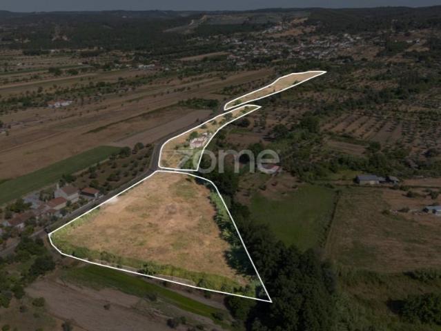 Abrantes Abrantes 104074515