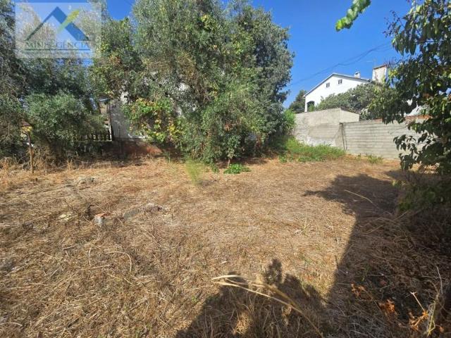 Abrantes Abrantes LS101958733