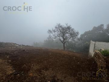 Terreno en venta zona Homex Las Torres Xalapa Ver