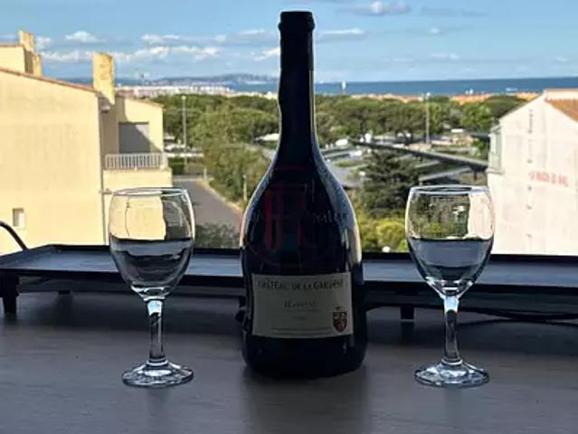 Agde 34300 Achat / Vente appartement 1 pièce t1