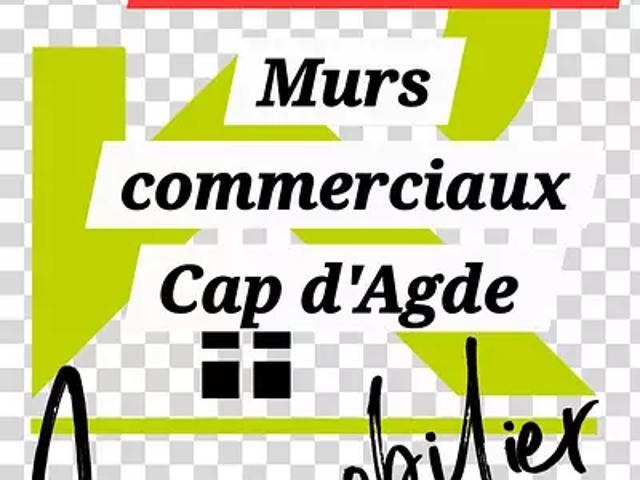 Agde 34300 Achat / Vente divers