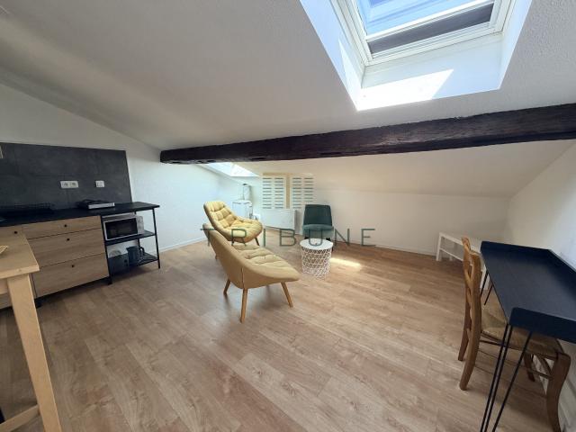 Agen Centre, Jacobins Studio rénové 15 m2 Meublé