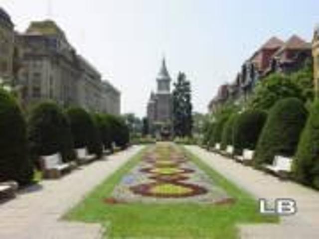 Agentia Imoprim Timisoara
