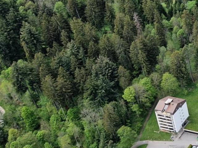 Agréable 4,5 Pièces avec superbe vue sur le Val de Ruz | dreamo. Ch