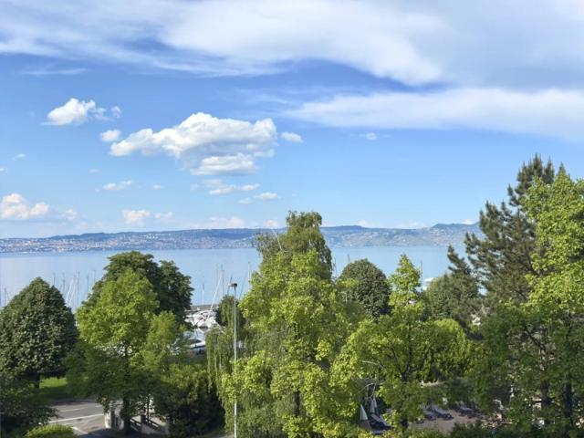 Agréable 2 pièce traversant avec balcon vue sur le lac