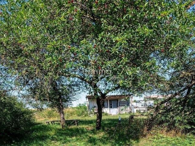 Agréable terrain de loisir 2550 m²