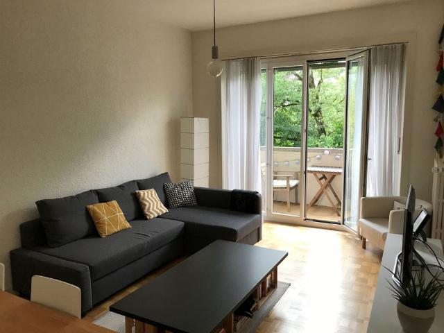Agréable appartement à Plainpalais
