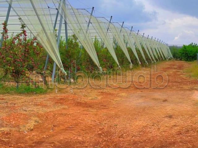 Agréable ferme à vendre à Dayat Aoua. Superficie 57700 m². Parking