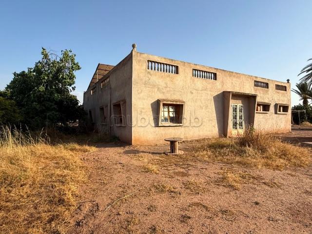 Agréable ferme à vendre à Route Amizmiz. Surface totale * * m²