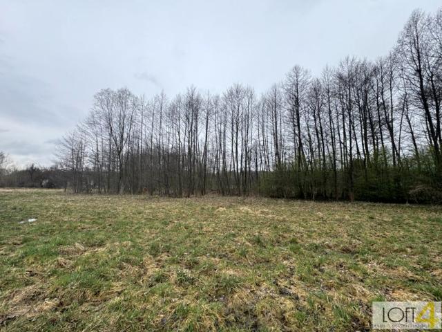 Agrestowa 1 916 m², Tarnów