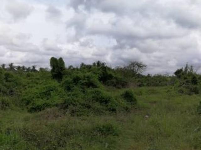 Agri FLAT land 10acres freehold at Kapar for sale