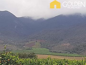 Agrícola en Venta en La Cruz