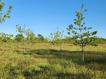 Agrícola en Venta en La Junta
