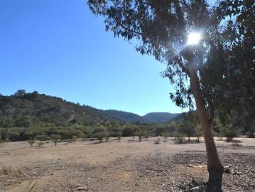 Agrícola en Venta en La Retuca, Camino Lo Orozco