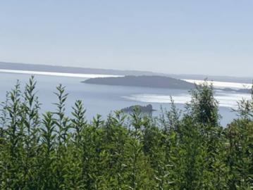 Agrícola en Venta en Lago Ranco