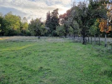 Agrícola en Venta en Los Lagos