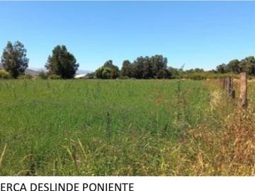 Agrícola en Venta en Marinana