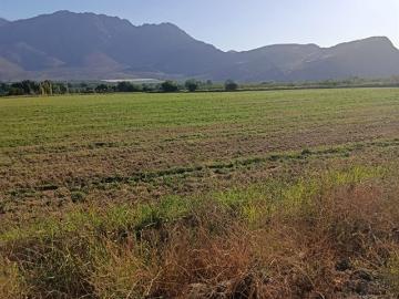 Agrícola en Venta en San Vicente de Tagua Tagua