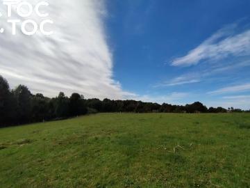 Agrícola en Ancud