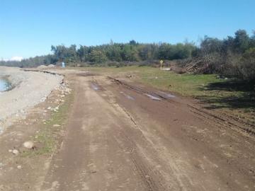 Agrícola en Arauco
