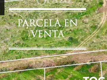 Agrícola en Codegua