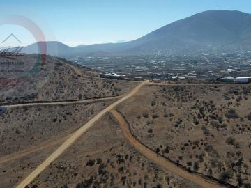 Agrícola en Coquimbo