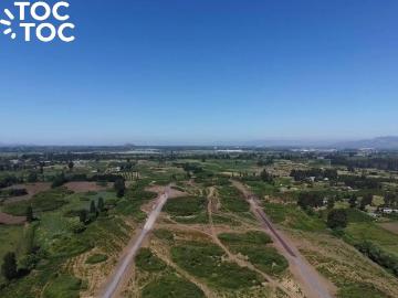 Agrícola en Curicó