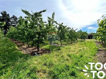 Agrícola en Curicó