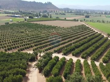 Agrícola en El Monte