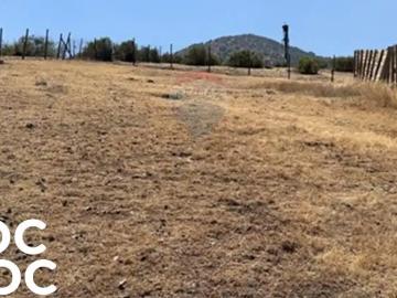 Agrícola en La Reina