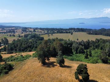 Agrícola en Lago Ranco