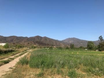 Agrícola en Las Cabras
