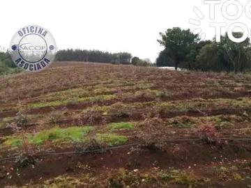 Agrícola en Los Álamos
