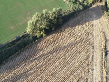 Agrícola en Malloa