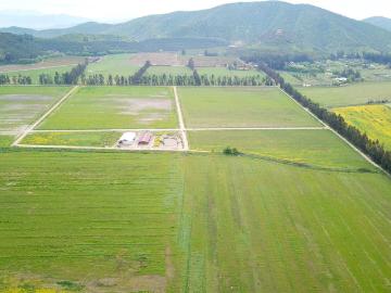 Agrícola en Melipilla