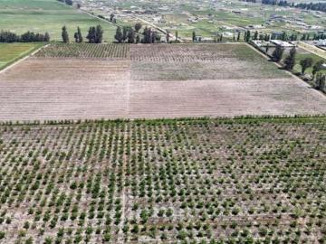 Agrícola en Padre Hurtado