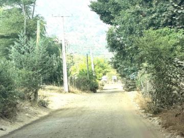 Agrícola en Paine