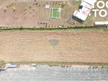 Agrícola en Paine