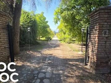 Agrícola en Pirque