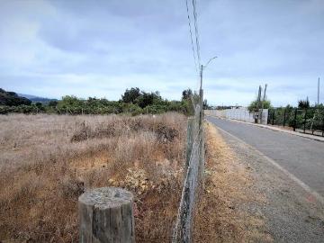 Agrícola en Quillota