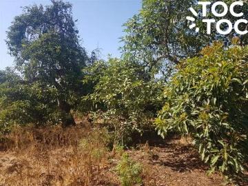 Agrícola en Quillota