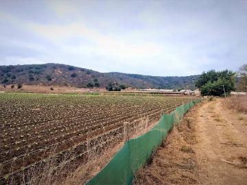 Agrícola en Quillota