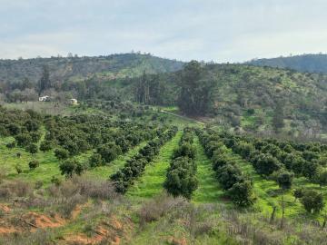 Agrícola en Quilpué
