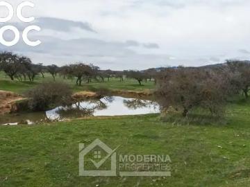 Agrícola en Retiro