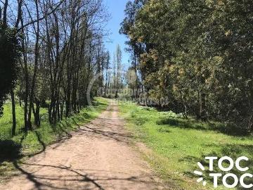 Agrícola en Río Claro